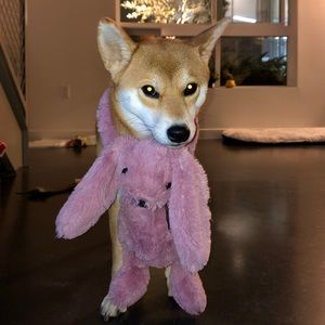 Meet your Posher, Brian